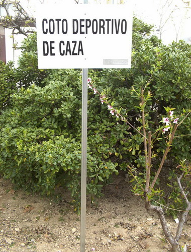 tablilla de 1er. orden